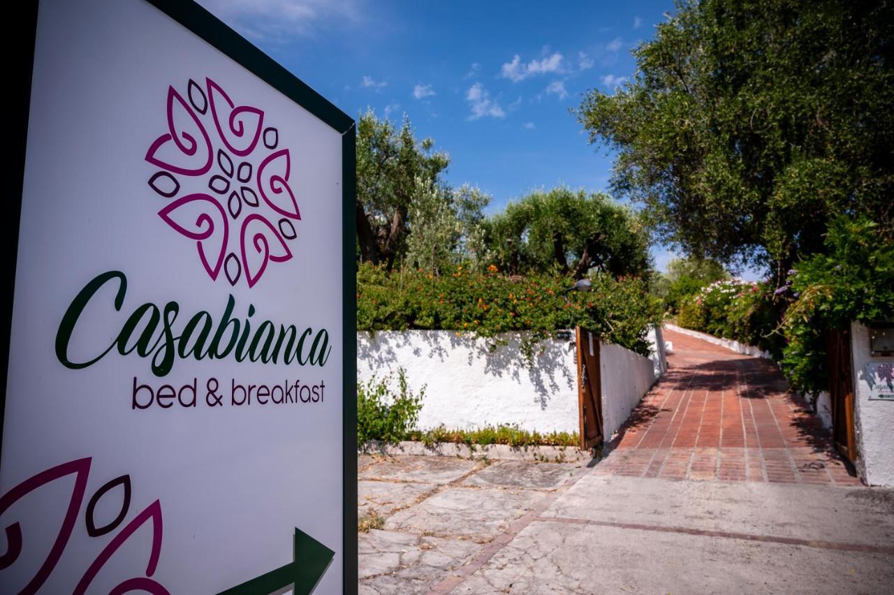 B&B Casabianca Palinuro Exterior photo